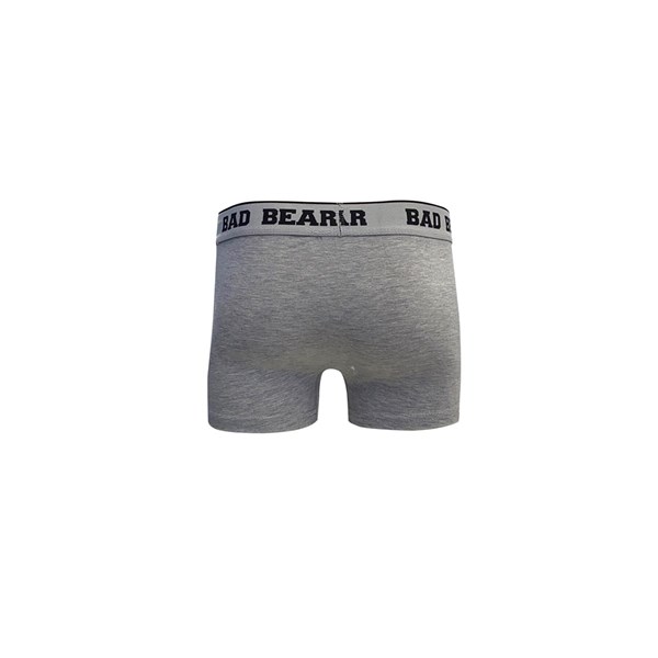 Erkek BOXER BASIC BOXER Ürün Kodu: 210103002-C02