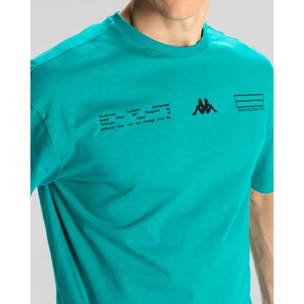 Erkek T-shirt AUTHENTIC ALVIN Ürün Kodu: 341R3HW-WIG