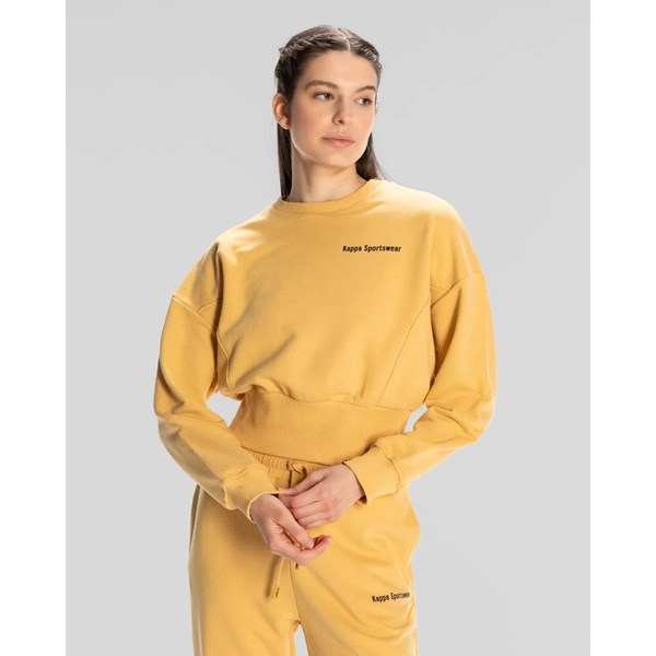 Kadın Sweatshirt AUTHENTIC JESSA-WMN-SWEATSHIRT Ürün Kodu: 381U6WW-W8X