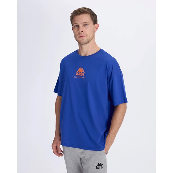Erkek T-shirt CHIBAF TEE Ürün Kodu: 382552W-BLU