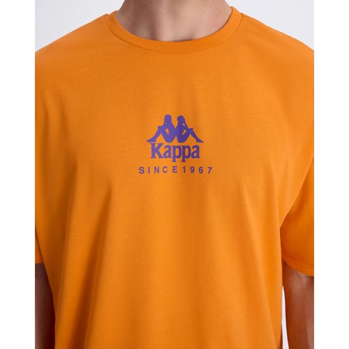 Erkek T-shirt CHIBAF TEE Ürün Kodu: 382552W-K059