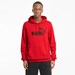 ESS Big Logo Hoodie