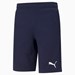 ESS Shorts