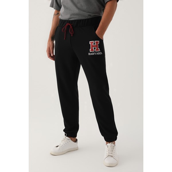Erkek Pantalon HARVARD Eşofman Alt Ürün Kodu: L1657-siyah